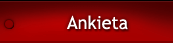 ankieta